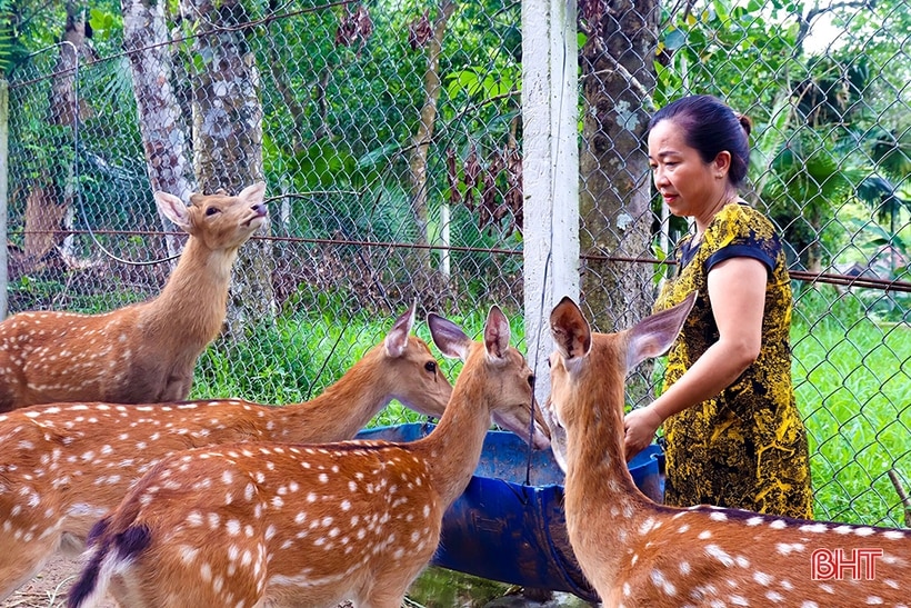 Phát huy vai trò chủ thể của nông dân trong phát triển nông nghiệp, kinh tế nông thôn, xây dựng nông thôn mới