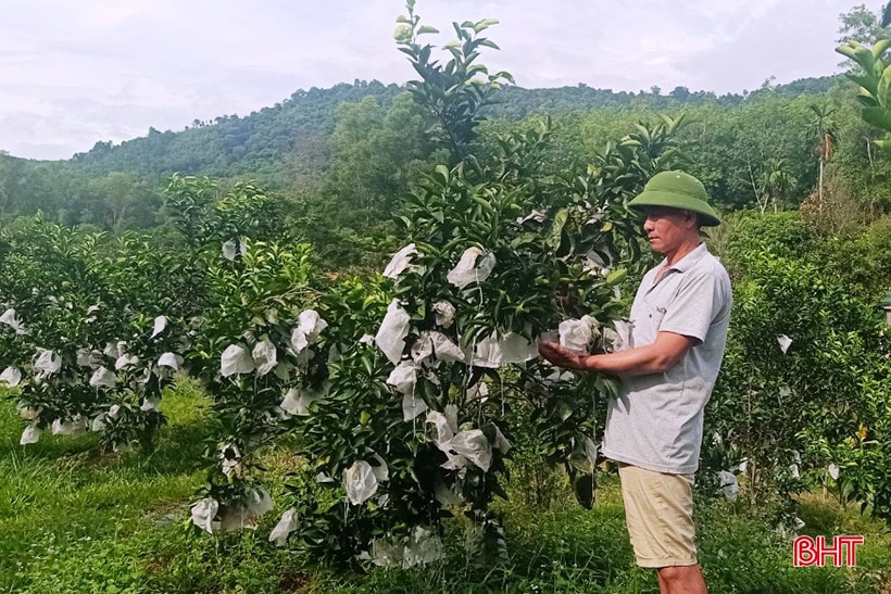 Khởi nghiệp thành công nơi “thâm sơn cùng cốc”