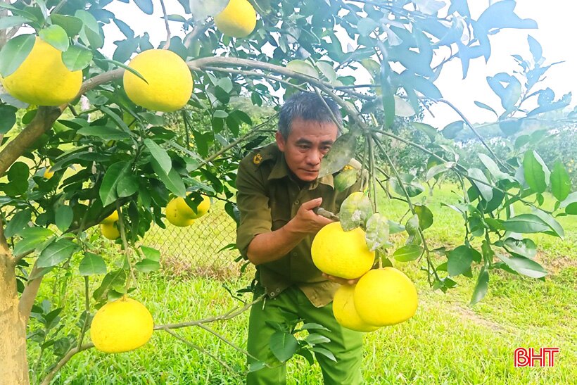 Khởi nghiệp thành công nơi “thâm sơn cùng cốc”