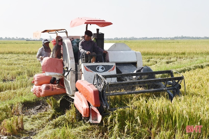 Những chủ thể làm khởi sắc nông thôn mới huyện ven biển Hà Tĩnh