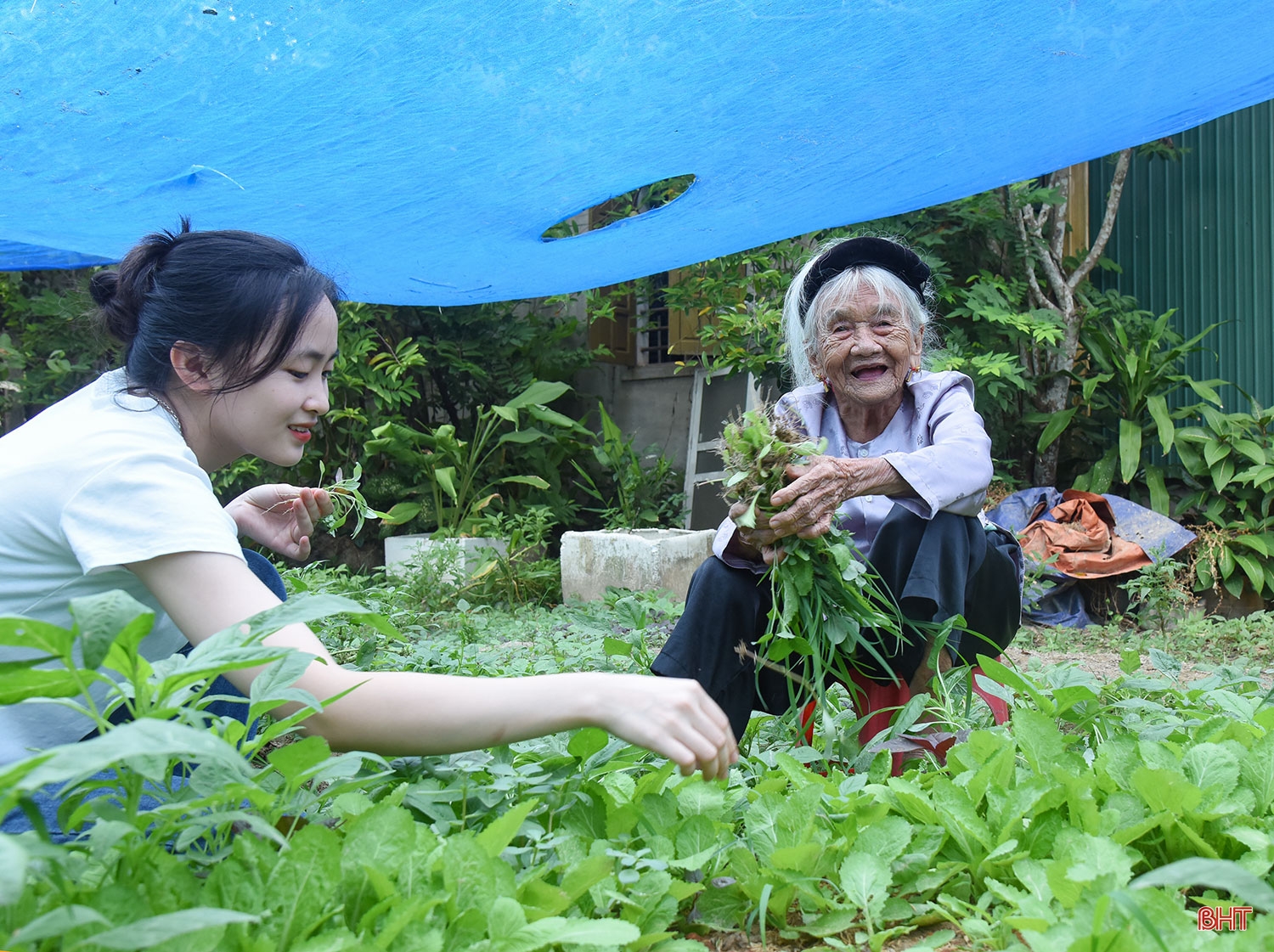 Cụ bà 75 năm tuổi Đảng: “Còn sống thì còn phải học, còn phải hoạt động cách mạng”