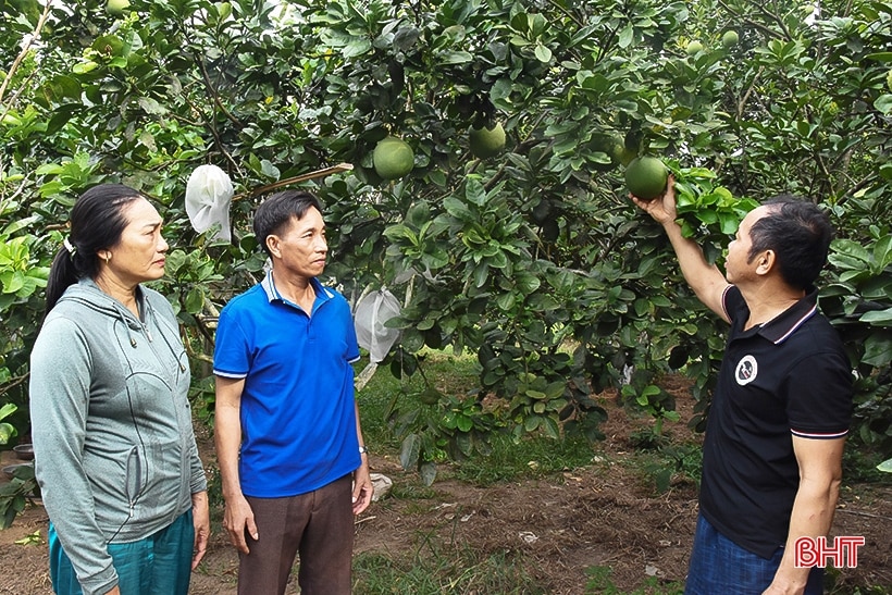 Bà bí thư kiêm thôn trưởng lăn lộn với phong trào ở vùng thượng Kỳ Anh