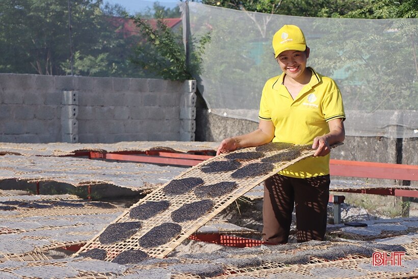 OCOP 3 sao giúp bánh đa vừng Hà Tâm vươn xa