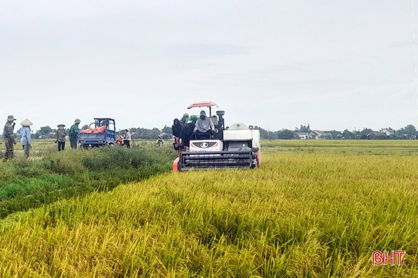 Sáng tạo trong gây quỹ hoạt động của chi hội nông dân ở Hà Tĩnh