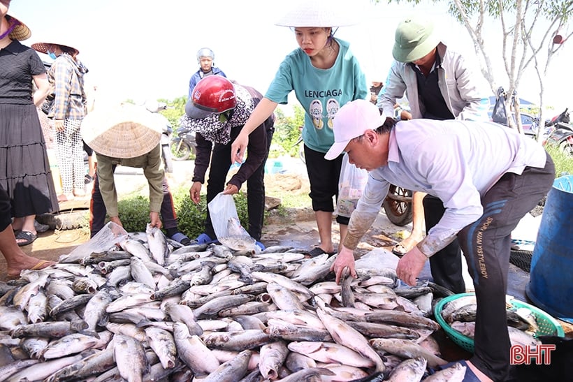 Lấy mẫu phân tích, sớm làm rõ nguyên nhân cá chết trên sông Nghèn