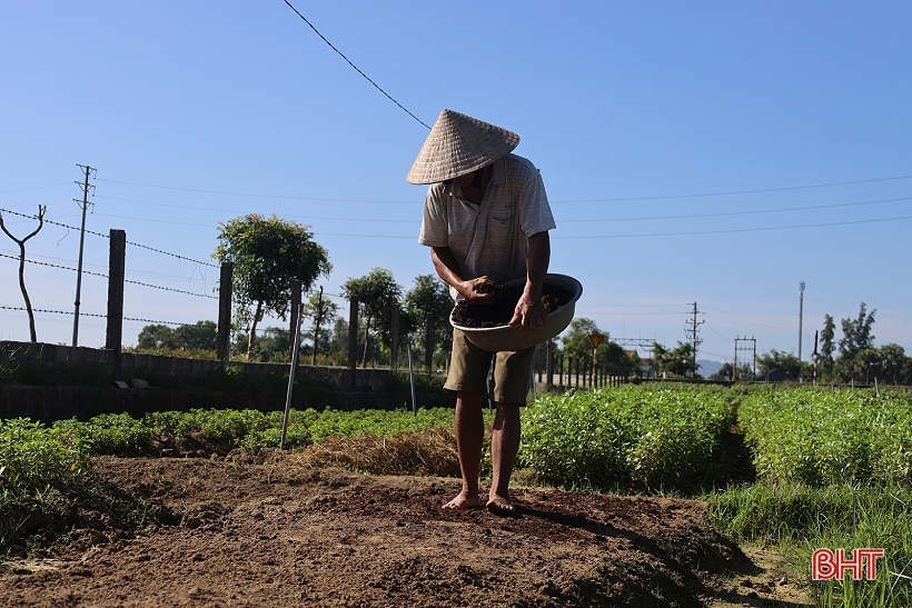 Nông dân Hà Tĩnh cướp nắng, hối hả sản xuất vụ đông