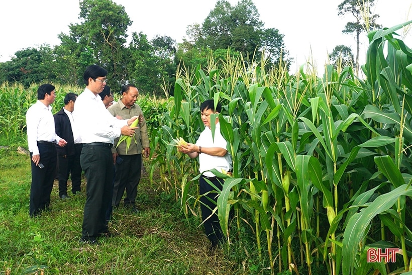 Hà Tĩnh tăng cường sự lãnh đạo của Đảng, nâng cao hiệu quả đối ngoại Nhân dân