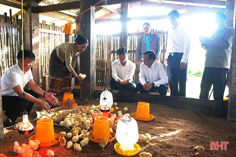 Hương Khê hỗ trợ nông dân Lào hơn 1 tỷ đồng phát triển nông nghiệp