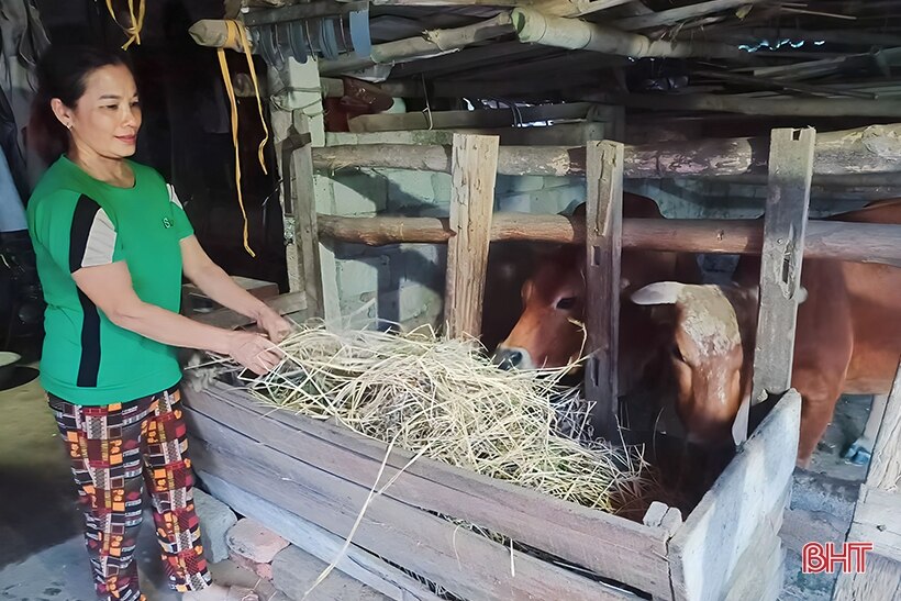 Người dân vùng lũ Vũ Quang chủ động ứng phó với mưa lớn