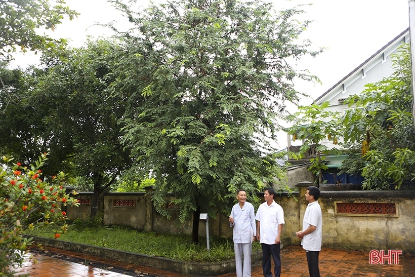 La Sơn phu tử Nguyễn Thiếp và Vua Quang Trung kết mối lương duyên Hà Tĩnh - Bình Định