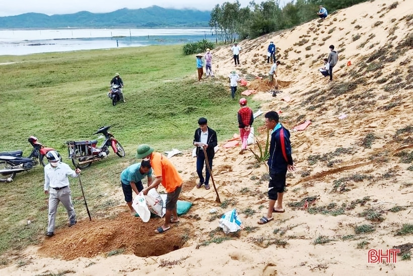 Người dân Lộc Hà tiêu diệt hơn 70 nghìn con chuột để bảo vệ mùa màng