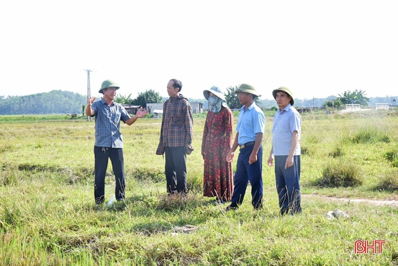 Tân Lộc hướng tới mục tiêu mỗi hộ chỉ sản xuất một thửa ruộng quy mô lớn