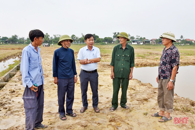 Tân Lộc hướng tới mục tiêu mỗi hộ chỉ sản xuất một thửa ruộng quy mô lớn