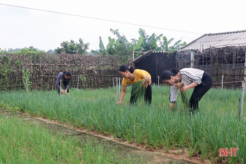 Trao cơ hội giúp hội viên phụ nữ Can Lộc thoát nghèo