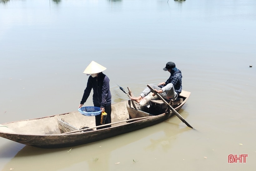 Ổn định sản xuất vùng nước ngọt, Hà Tĩnh thu hơn 9.200 tấn thủy sản