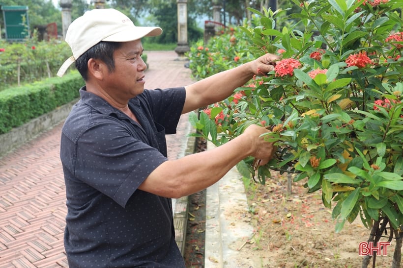 Chỉnh trang Khu lưu niệm Hải Thượng Lãn Ông Lê Hữu Trác