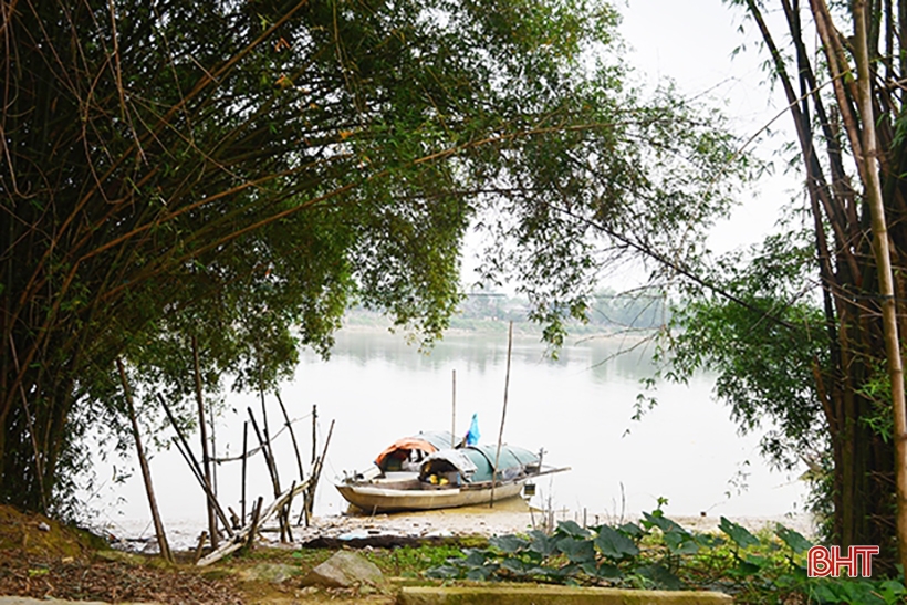 Nhớ bóng tre làng