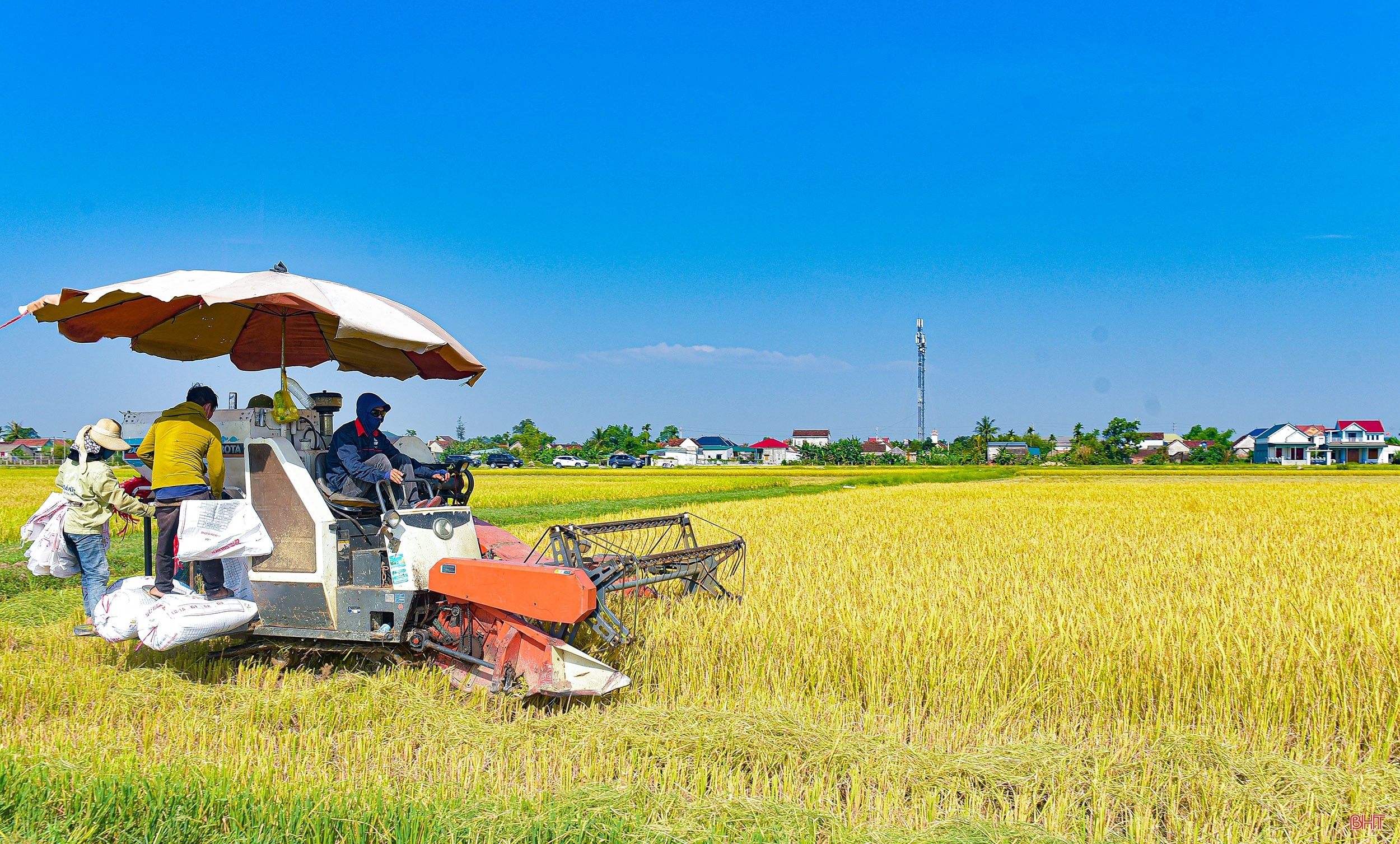 Chuyện lão nông ở Hà Tĩnh xây dựng thương hiệu gạo OCOP