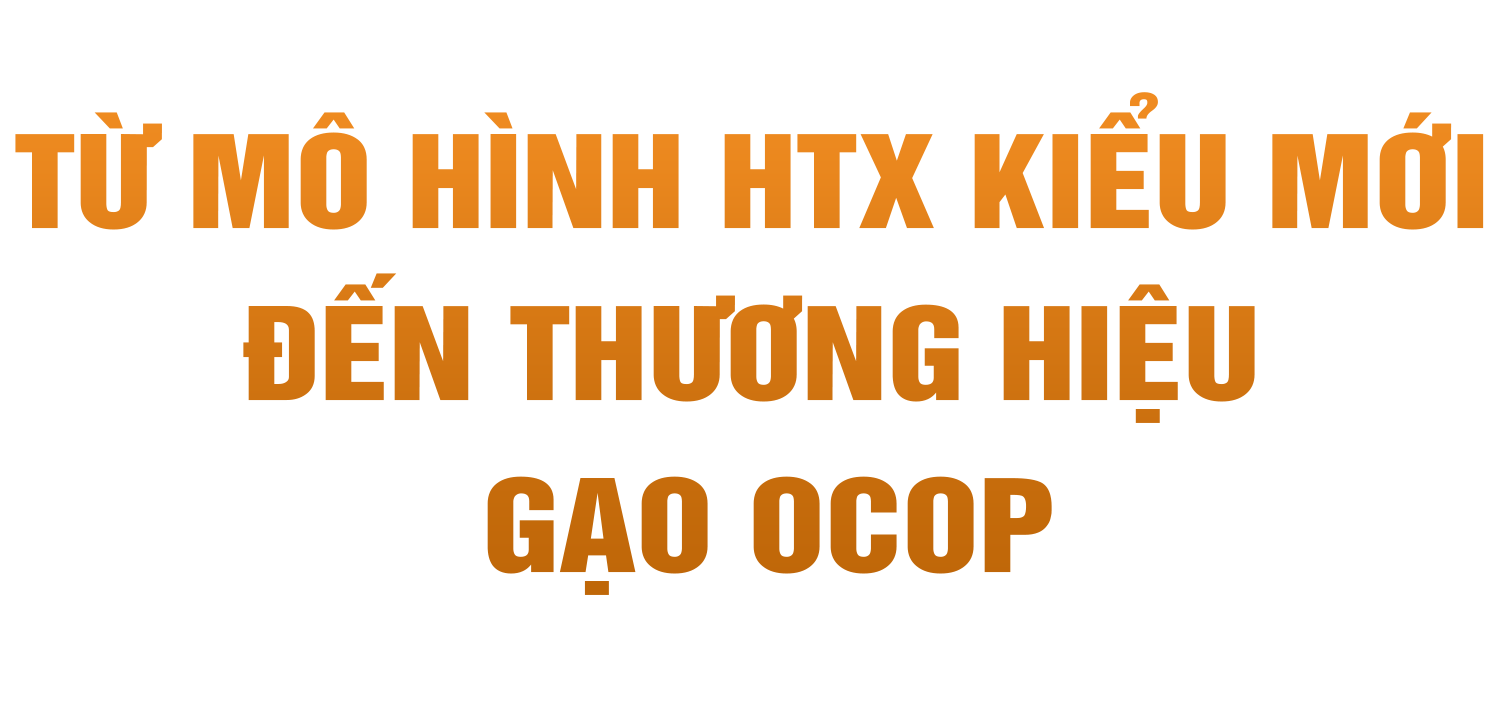 Chuyện lão nông ở Hà Tĩnh xây dựng thương hiệu gạo OCOP