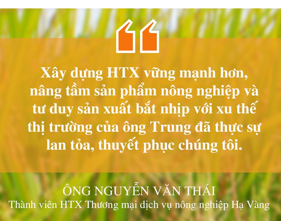 Chuyện lão nông ở Hà Tĩnh xây dựng thương hiệu gạo OCOP