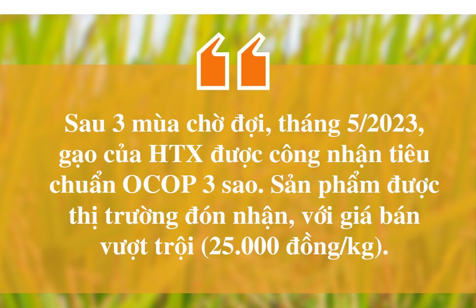 Chuyện lão nông ở Hà Tĩnh xây dựng thương hiệu gạo OCOP