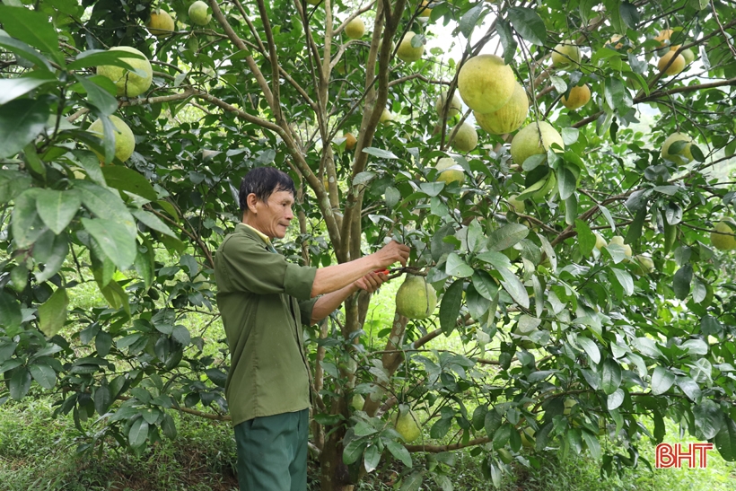 Cặp vợ chồng gây dựng kinh tế nơi thâm sơn cùng cốc