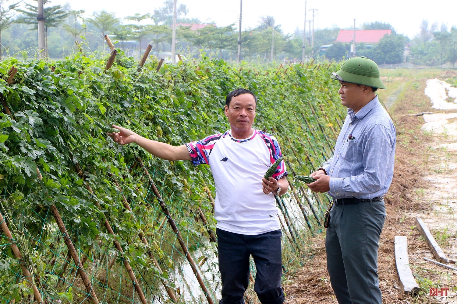 Những người “vẽ phố” từ đồng đất ngoại ô