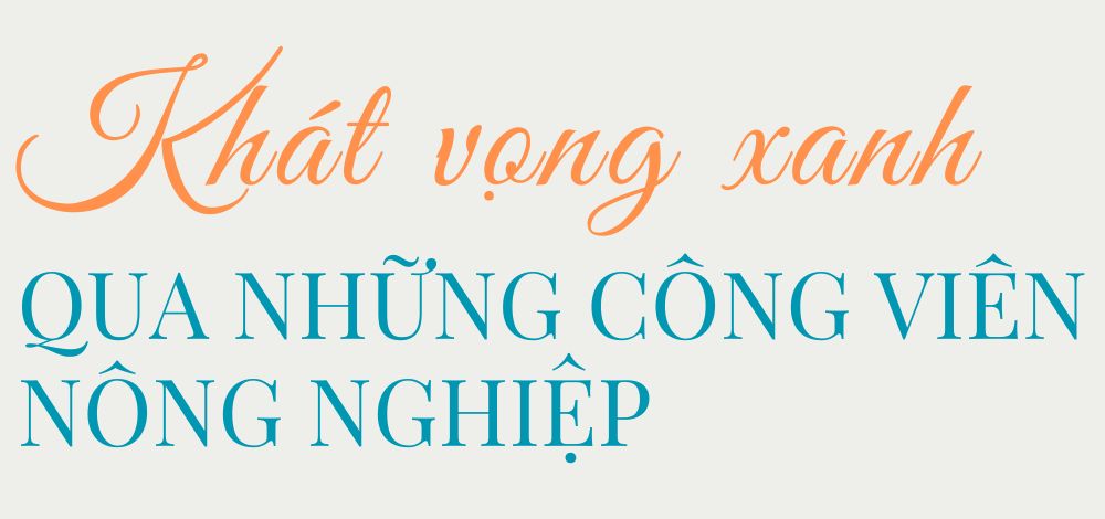 Những người “vẽ phố” từ đồng đất ngoại ô