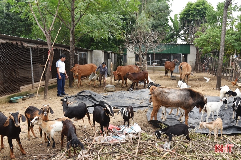 “Chìa khóa” mở cánh cửa thoát nghèo bền vững cho nông dân Lộc Hà