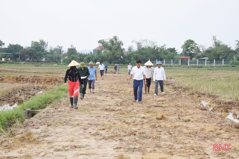 Tân Lộc hướng tới mục tiêu mỗi hộ chỉ sản xuất một thửa ruộng quy mô lớn