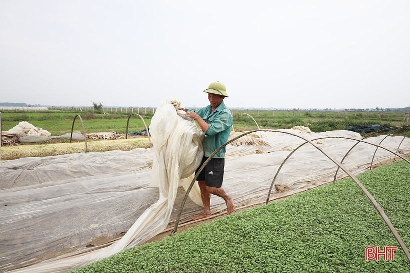 Tranh thủ trời khô ráo, nông dân Hà Tĩnh bám đồng sản xuất vụ đông