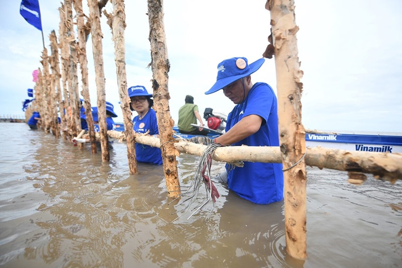 Vinamilk: Doanh thu xuất khẩu tăng trưởng 5%, thị phần nội địa được củng cố