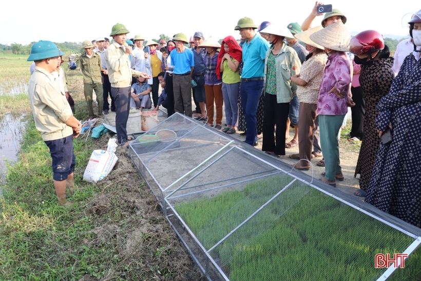 Xã đầu tiên ở Hương Sơn thực nghiệm máy cấy lúa có động cơ