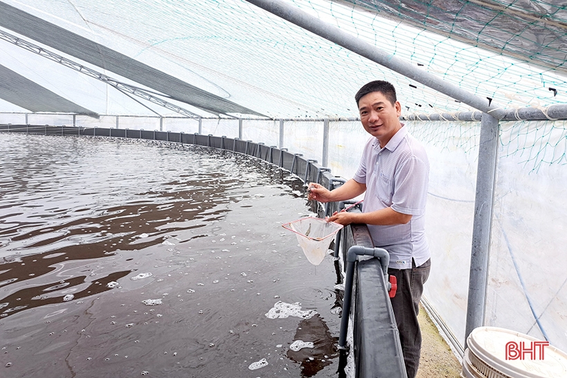 Độc lạ mô hình nuôi tôm công nghệ khép kín trong nhà màng ở Nghi Xuân