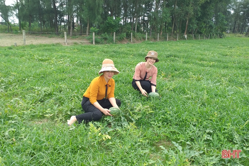 Lộc Hà chú trọng sản xuất nông nghiệp hữu cơ, sản phẩm sạch