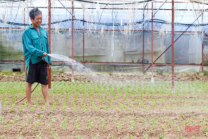 Làng hoa Lưu Vĩnh Sơn tất bật vào vụ tết