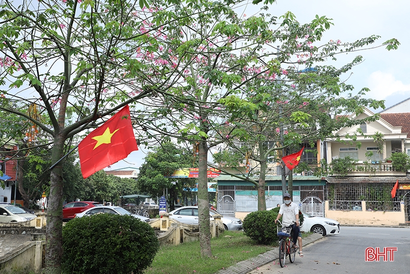 Ngắm sắc hoa mỹ nhân dịu dàng giữa lòng Thành Sen