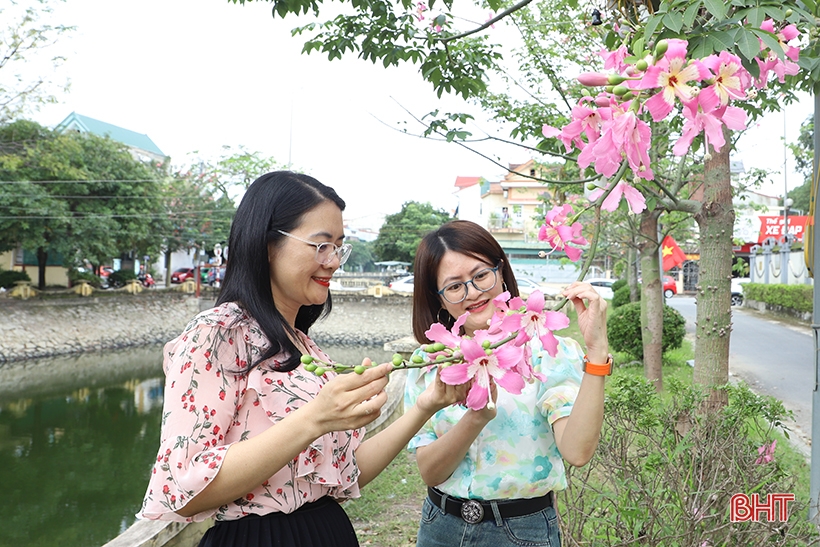 Ngắm sắc hoa mỹ nhân dịu dàng giữa lòng Thành Sen