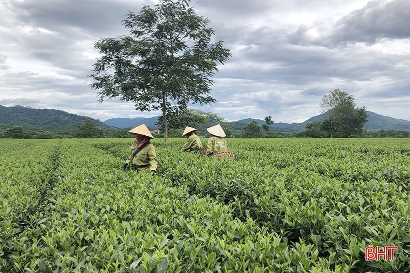 10 tháng, kim ngạch xuất khẩu của Hà Tĩnh đạt 114% kế hoạch