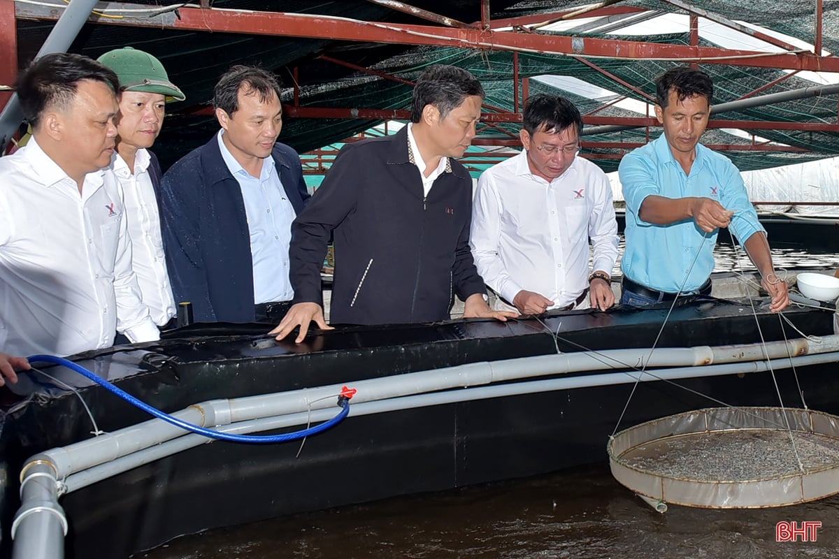 Trưởng ban Kinh tế Trung ương kiểm tra các công trình, dự án trọng điểm và làm việc với BTV Tỉnh ủy Hà Tĩnh