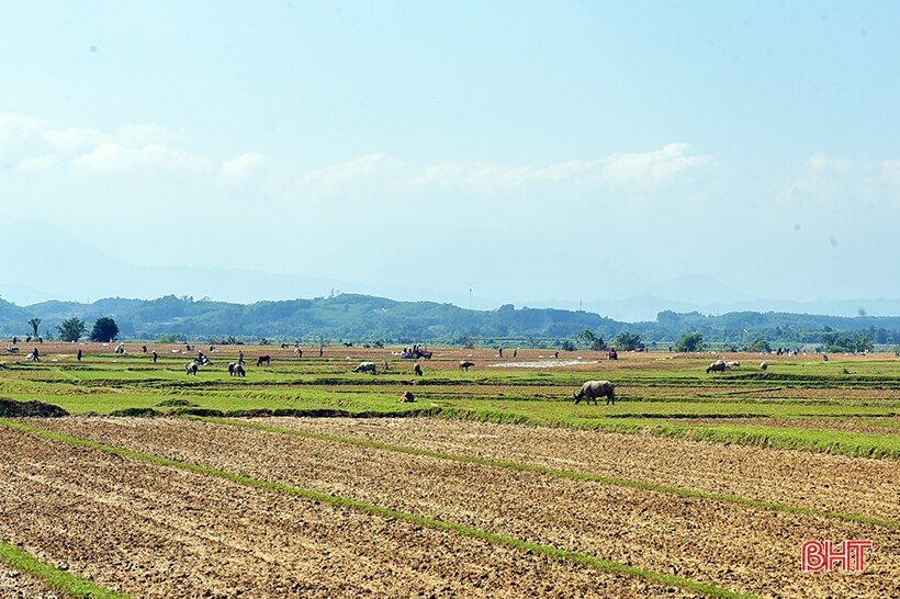 Nông dân Hương Khê tất bật xuống giống vụ đông