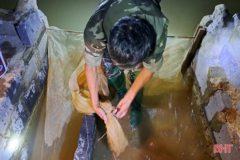 “Săn rươi ban đêm ở Nghi Xuân