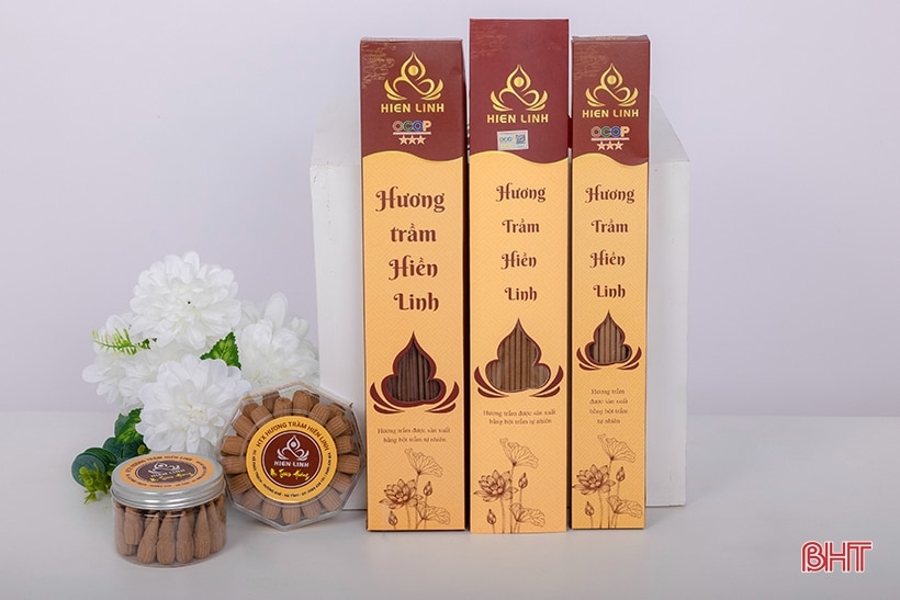 Các hợp tác xã Hà Tĩnh sẽ sản xuất lượng hàng lớn trong dịp tết