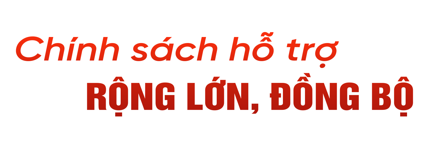 Những quyết sách tạo động lực để Hà Tĩnh bứt phá (bài 2): Ưu tiên nguồn lực phát triển toàn diện “tam nông”