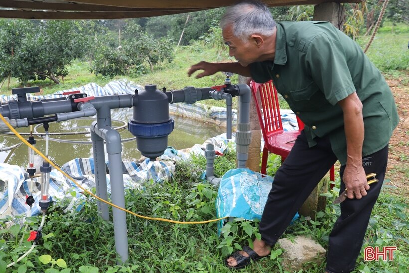 Cam chanh, cam bù trĩu quả, người dân vui như hội