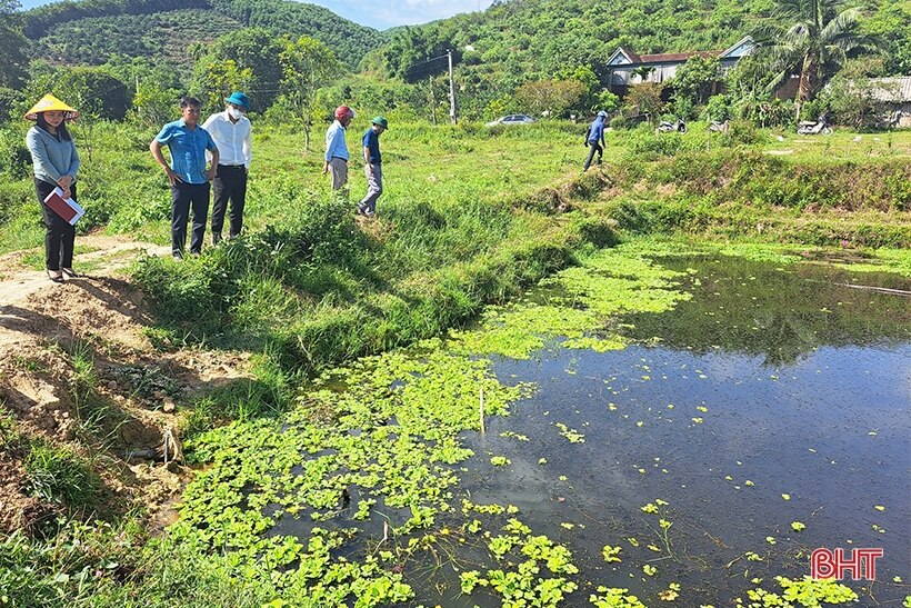 Nuôi vàng đen ở Đức Lĩnh