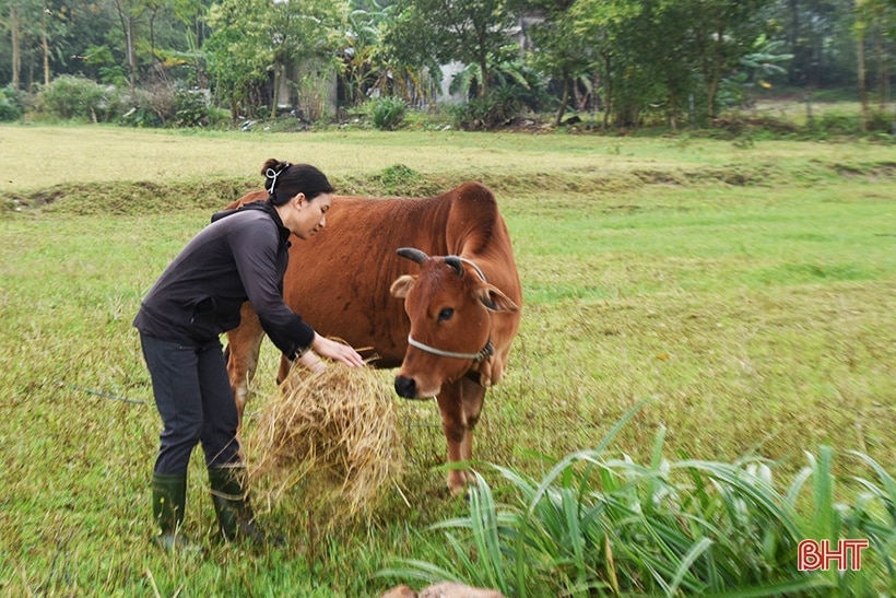 Dân nghèo Tân Sơn biết ơn bác trưởng thôn