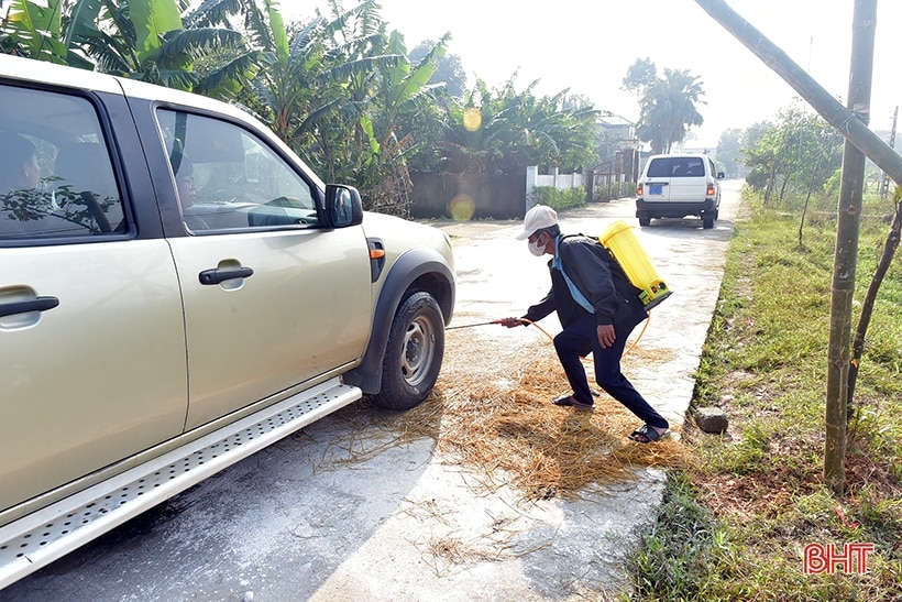 Đồng loạt tiêu độc, khử trùng ngăn dịch tả lợn châu Phi