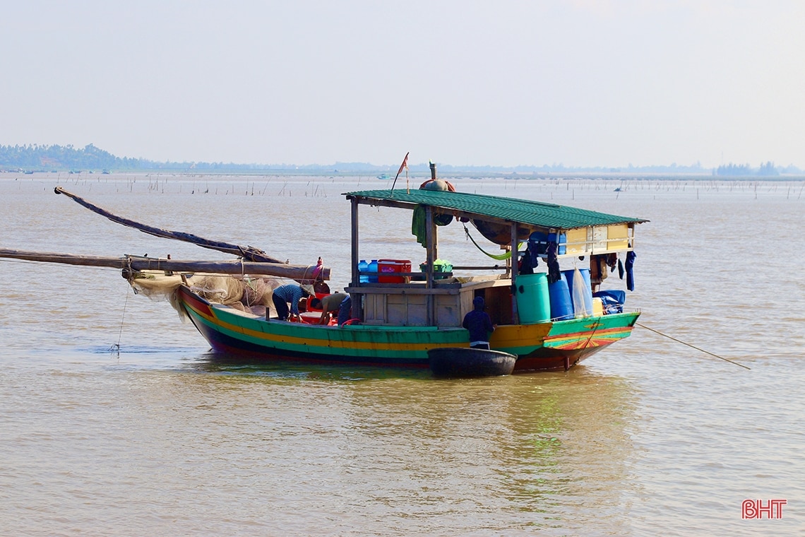 Các cơ sở chế biến hải sản ở Hà Tĩnh hối hả “gom” hàng tết