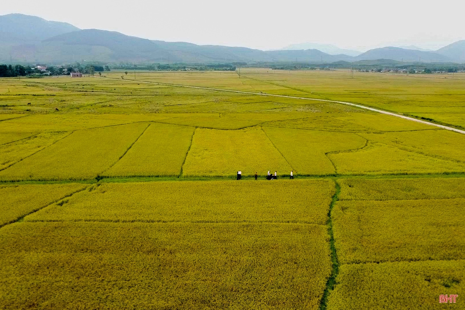 Xây dựng huyện nông thôn mới - Kỳ Anh nỗ lực bứt phá (bài 1): Tìm giá trị mới cho nông nghiệp, nông thôn